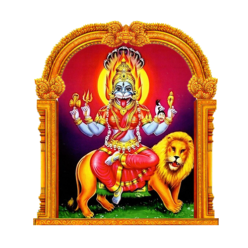 ASHADA NAVARATRI 2025 Grand 9 Night Festive Rituals