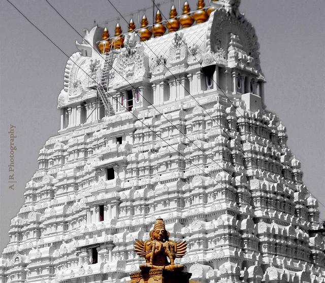 Varadaraja Perumal Temple Kanchipuram