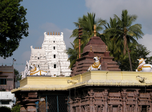 Mallikarjuna Bhramaramba Devi Temple