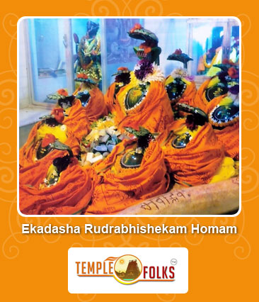 Ekadasha Rudrabhishekam homam