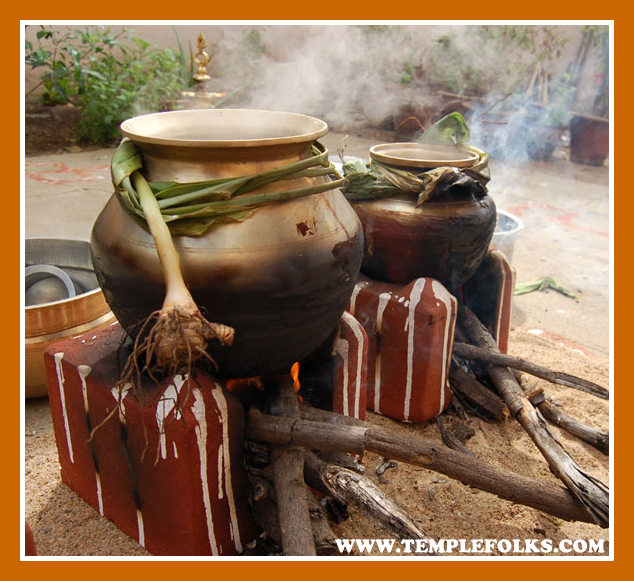 Pongal Festival