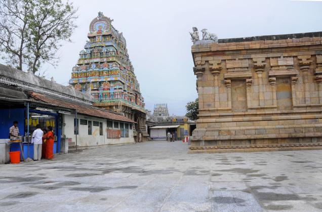 Sri Naganathaswamy Temple puja