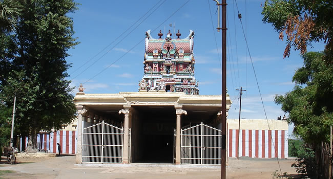 Sri Srinivasa Perumal Temple