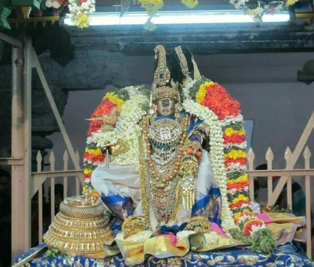 Nellaippar Temple Puja