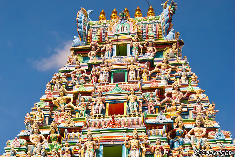 Srinivasa Perumal Temple